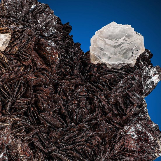 Fluorite-Valle Giove | Rio Marina | Elba | Livorno Prov. | Tuscany | Italy